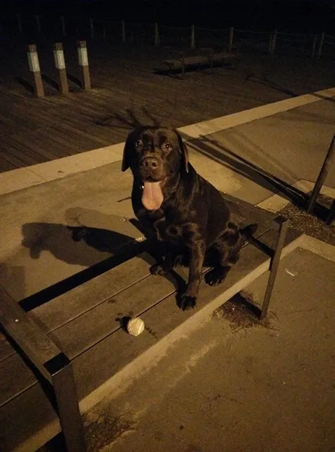 Charlie