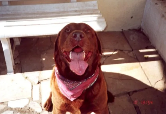 Oscar