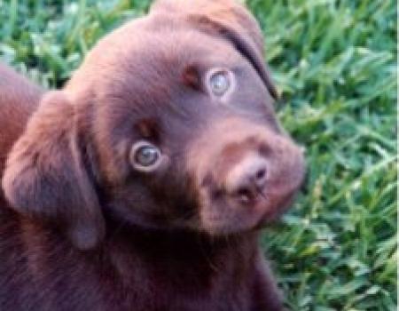 Com dois meses. Lindo não era? :)