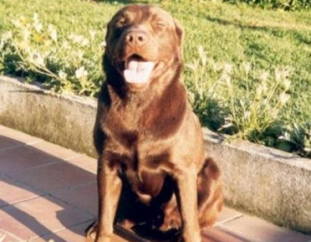 Oh pra mim todo sorridente!