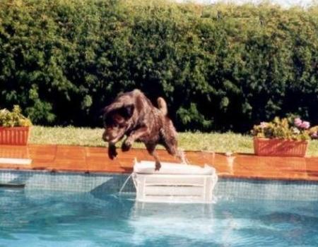 Adoro fazer isto. Aqui vou eu.....