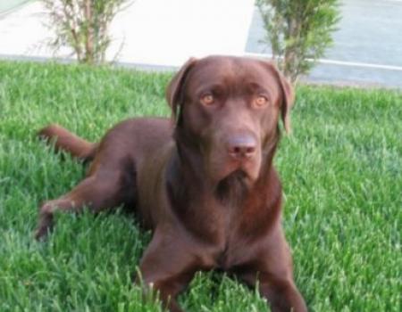 Sessão fotográfica