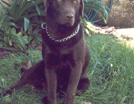 Até pareço um modelo! :þ