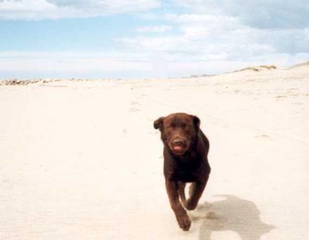 Sai da frente que eu não vou parar!