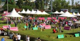 Créditos: Pets Days (Facebook)