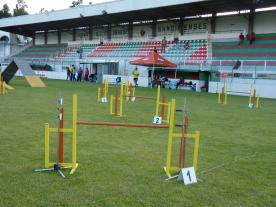 Crédios: just-agility