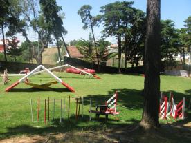 Créditos: Futuredogs